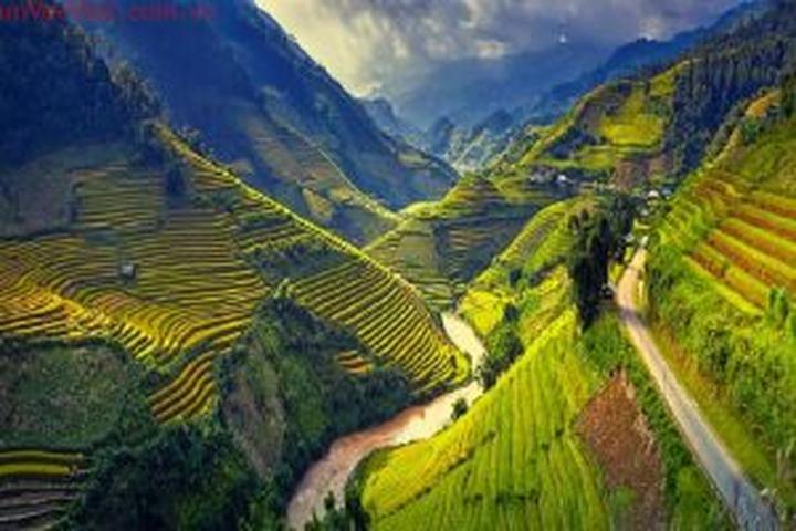 Cách Khởi Nghiệp Kiếm Tiền Bán Thời Gian Dành Cho Người Mới