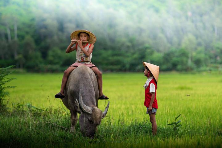 Hotspot Matrix: Biến Mua váy hoa mà không biết 4 thành cơ hội marketing đột phá
