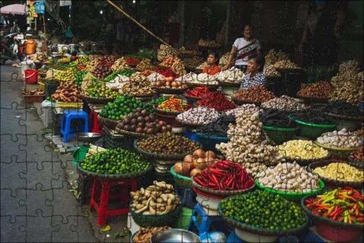 Bonobo: Nguồn Gốc Tiến Hóa Của Ngôn Ngữ Con Người?